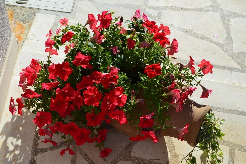 Apartments Oklopcic Trogir Zewnętrze zdjęcie